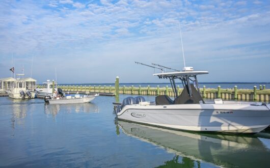 blue fin-chincoteague-people-04 (1)