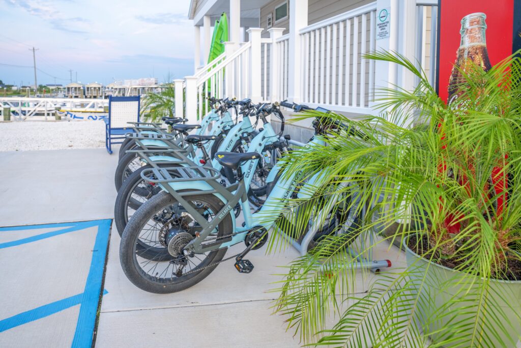 Electronic Bikes